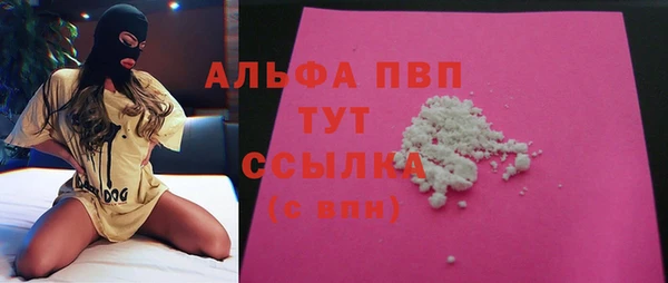PSILOCYBIN Лиски