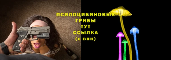 соль ск Долгопрудный