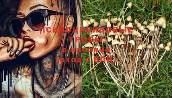 PSILOCYBIN Лиски
