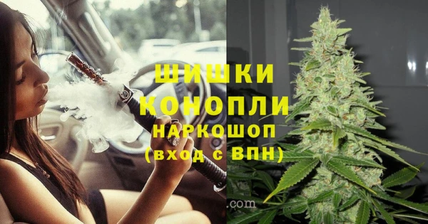 PSILOCYBIN Лиски