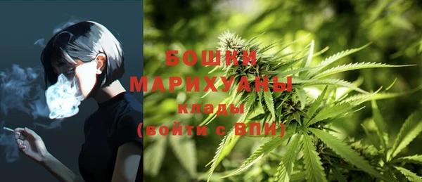 PSILOCYBIN Лиски