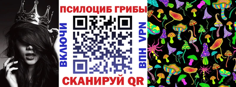 Галлюциногенные грибы Cubensis  Киров 